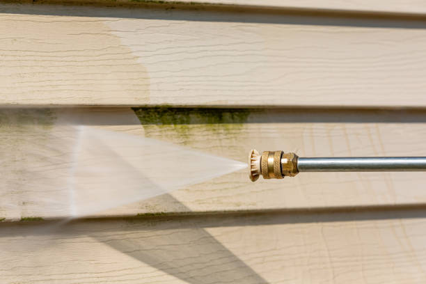 Local Pressure Washing Services in Paoli, PA